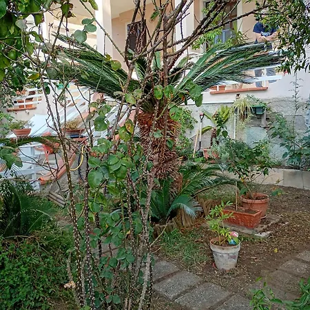 Apartment Itaca *